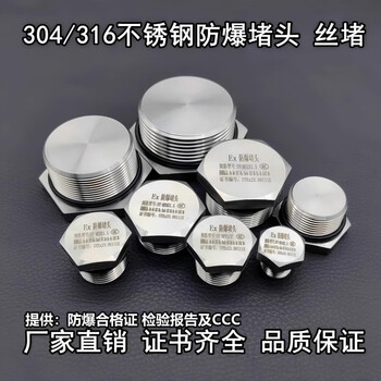304 stainless steel explosion-proof plug 316 explosion-proof wire plug m204 points 6 points explosion-proof box pipe plug pipe plug head pipe joint g3/8