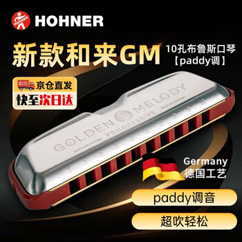 Hohner germany and golden melody ten-hole 10 harmonica new gm bruce paddy tuning blues adult
