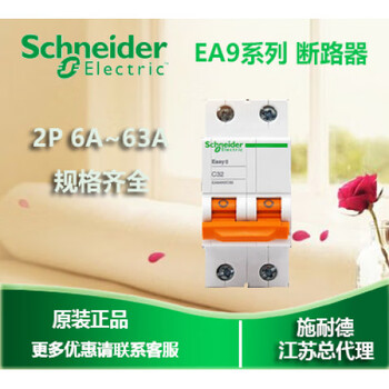 Original schneider small circuit breaker micro circuit breaker ea9 series ea9an2c16 16a 2p