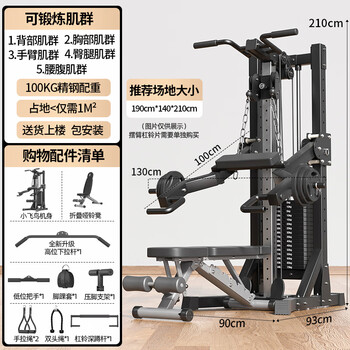 _fitness home equipment unilateral flying bird gantry painting rowing machine multi-functional dumbbell equipment package installation classic model + 100kg stainless steel counterweight +