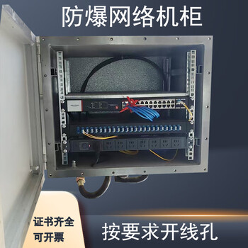 Explosion-proof network cabinet, anti-corrosion distribution box cabinet, carbon steel weak current cabinet, stainless steel switch chassis/monitoring upgrade model 12u upgrade model