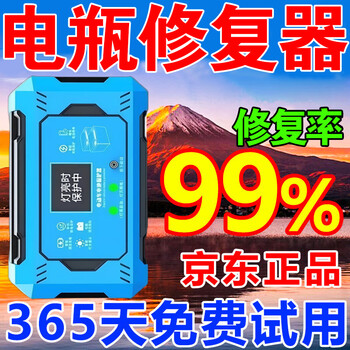 Electric vehicle battery repairer genuine activation pulse repairer charger universal voltage stabilizer extends life and battery supreme model high power + automatic power off