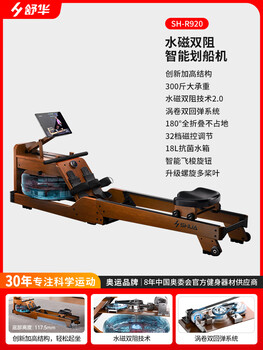 Painting rowing machine household hydromagnetic dual resistance foldable smart resistance adjustment fitness equipment aerobic painting rowing machine r920 foldable hydromagnetic dual resistance 2.0/intelligent shuttle number