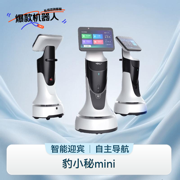 Orionstar orion star (orionstar) leopard secret mini welcome smart reception voice explanation ai robot welcome consultation