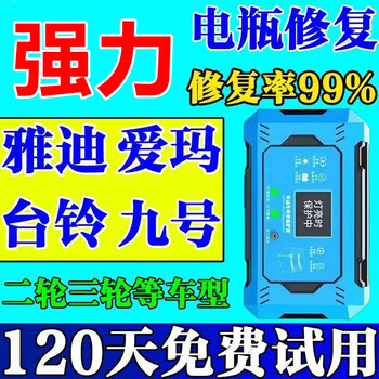 The electric vehicle battery repairer is activating the battery pulse repair to extend the battery life, extend the range and extend the range of the product, the ultimate model, high power + automatic power off