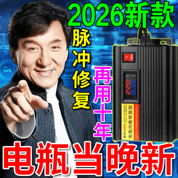 Electric vehicle battery repairer 12v 96v automatic intelligent battery repairer automatic power-off universal artifact battery repair artifact