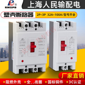 Shanghai people's dz15 molded case circuit breaker 2p 32a 40a 63a 100a 3p air switch 380/220 2 32a 2p