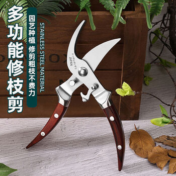 Chenxuan's products are all-steel one-piece pruning shears with solid wood handles imported from japan. floral gardening and fruit tree pruning scissors. branch pruning scissors. all-steel one-piece gardening and fruit tree pruning shears imported from japan. noble red colored wood handles.