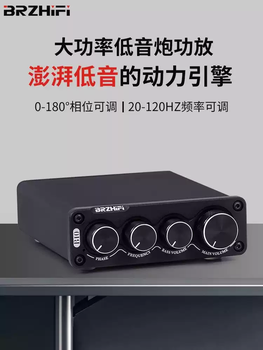 B10 mono 100w audiophile grade hifi professional digital subwoofer power amplifier low frequency power amplifier new 24v6a power adapter