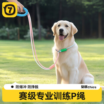 Qi oh dog leash p rope explosion-proof and anti-breakaway medium and large dogs and small dogs leash collar collar dog walking artifact gradient blue bold - pull out the guarantee