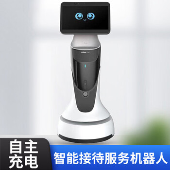 Leopard secret reception robot welcome exhibition hall explanation dialogue guidance legal inquiry intelligent robot starry night black