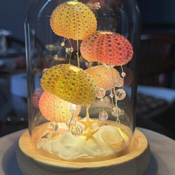 Queenjoy creative sea urchin shell jellyfish lamp parent-child team building activity handmade diy night light atmosphere light gift material package sea urchin jellyfish night light battery model + 5 sea urchin material package