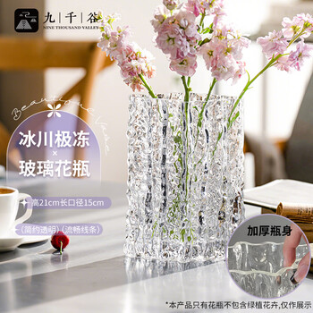 Jiuqiangu vase high-end decoration living room flower arrangement light luxury high-end rose flower vase glacier extremely frozen style 21cm1425