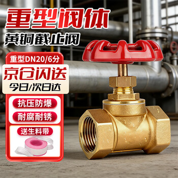 Cast solid brass stop valve water pipe valve home main valve switch tap water gate valve heavy duty dn20/6 points