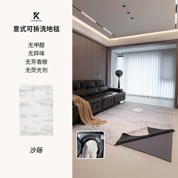 Caticlan removable and washable living room carpet italian light luxury high-end bedroom sofa coffee table mat machine washable 2026 new anti-cat scratch gravel (waterproof mousse) 160 300cm only carpet surface, please use it with the carpet bottom