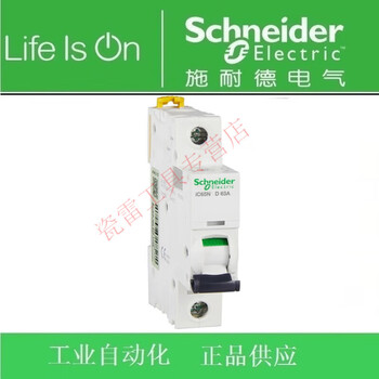 Schneider circuit breaker/air switch/ic65n 1p d63a/order number a9f19163 schneider circuit breaker/null default