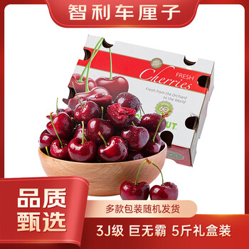 Fun to try chilean cherries 3j grade fruit diameter about 30-32mm, net weight 5kg, original gift box, fresh fruit