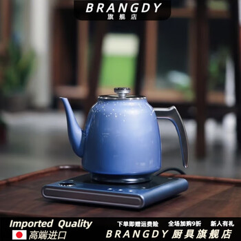Brangdy pincha pure titanium double-layer vacuum electric kettle for tea making, household thermal insulation seamless integrated inner tank kettle pincha-bihu blue kettle (magnetic suction model) 1ml
