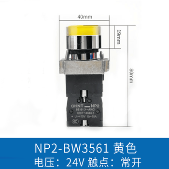 Chint np2-bw3462 illuminated button switch bw3361 bw3561bw3461 24v 220v red green yellow-220v