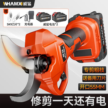 Powerful electric scissors for cutting branches, lithium battery garden scissors, pruning shears for fruit trees, heavy cutting opening 5.5cm, two batteries and one charge