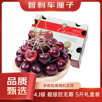 Fun to try chilean cherries 4j grade, diameter about 32-34mm, net weight 5kg, original gift box, fresh fruit