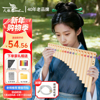 Swan panpipe upgraded primary and secondary school student c key 18 tone professional performance panpipe plus hose