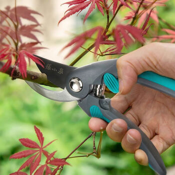 Zhiangzhang pruning shears, gardening and flower scissors, household branch fruit tree special pruning labor-saving scissors sk5 steel sharp pruning scissors