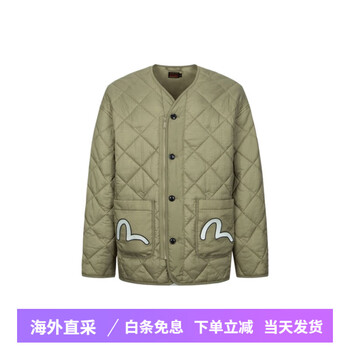 Evisu fushen aw23 seagull logo fitted v-neck single-breasted jacket for men, light khaki 2xl