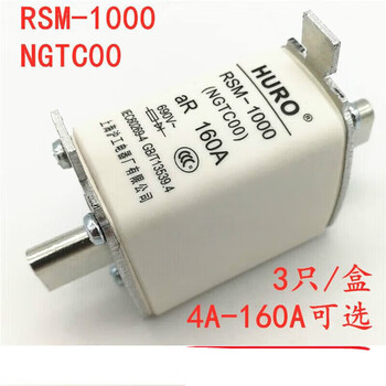 Ho fuse rm-1000ngtc00160a140a125a100a80a6a50a6 100a 125a