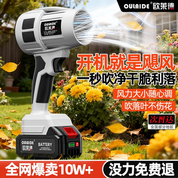 Oled computer hair dryer snow blower lithium battery violent turbo fan dust removal water blower high power handheld blower