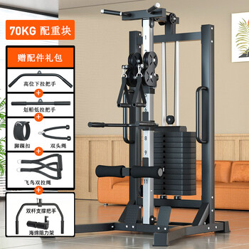 Aichen small bird training machine, household gantry painting boat machine, high pull-down equipment, multi-functional all-in-one machine, two-wheeled bird stand (70 kg environmentally friendly counterweight/free large