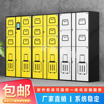 Airport station smart luggage storage cabinet scenic area amusement park self-service storage cabinet scan the qr code to charge online network locker 12-door main cabinet