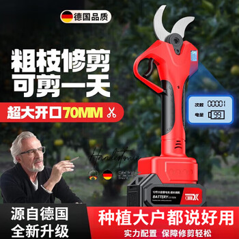 Sawang german quality electric scissors for pruning branches, fruit tree pruning scissors, brushless lithium battery electric pruning scissors for the garden, brushless lithium battery - two batteries and one charger