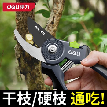 Deli pruning shears, agricultural and garden pruning, fruit tree pruning shears, branch cutting, flower art scissors, household wear-resistant 8-inch garden pruning shears, labor-saving three-sided blades + screwdriver + gloves