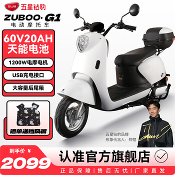 Five-star diamond leopard electric vehicle for adults 60v20a long range high-speed electric motorcycle 1200w motor little turtle king battery vehicle g1 angel white/alloy white