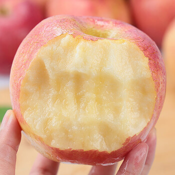 Shaanxi red fuji apple fruit seasonal ugly apple new fresh fruit for pregnant women gift whole box 2.5 jin selected pack crisp, sweet and juicy net weight 2 jin freshly picked