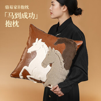 Luo yijia (lorica) 2026 year of the horse, immediate success sofa living room pillow new year's high-end home cushion creative gift immediate success pillow core + pillow case 45cm*45cm including pillow core