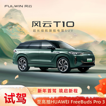 Test drive chery 2025 fengyun t10