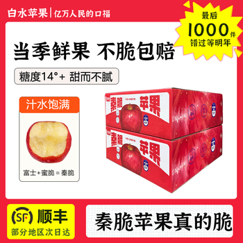 Xuzheng fruits and vegetables, shaanxi baishui authentic crisp apple, the first crop of the season, fresh fruit for pregnant women, crisp, sweet and juicy, whole box gift box, sf express, net weight 4.5 catties, medium fruit, 10-12 pieces