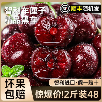 Fat donglai same style chilean cherries imported large cherries crispy sweet fresh fruit seasonal 5 catties whole box 2 catties (net weight) 2 catties 5j 34mm and above