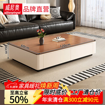 Weinio coffee table for living room, light luxury and high-end sense, sofa side table for small apartment, movable coffee table for office, modern and simple, fully packed and shipped, dark walnut white cabinet 120cm coffee table