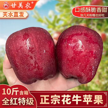 Ganmenong authentic tianshui huaniu apple gift box snake red fruit black diamond apple crisp sweet noodle food supplement sf optional 8.5 catties medium fruit 19-21 (single fruit 200g+)