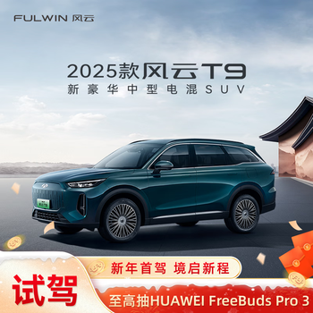 Test drive chery 2025 fengyun t9