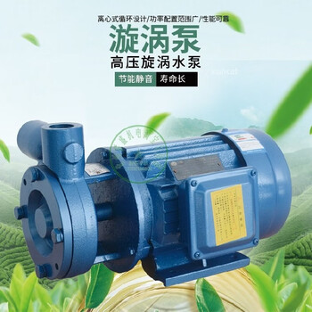 Hongcan jiazhuo direct sales w-type high-lift single-stage cantilever vortex pump boiler booster pump high-pressure pump 3kw self-priming pump 120 meters 3kw