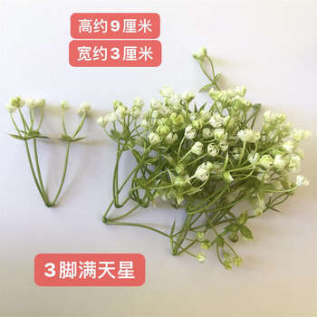 Fantasy high simulation flower white baby's breath for living room dining table bedroom decoration bouquet fake floral ornaments 3 fork baby's breath 200 pieces