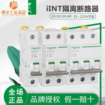 Schneider electric schneider iint//4p/////isolating switch load 2p 32a