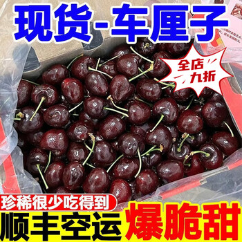 Fat donglai same style cherries 3j4j grade seasonal fresh chilean 5kg box of spring festival fruits as gifts for chinese new year 3kg (net weight) 1j 26mm and above