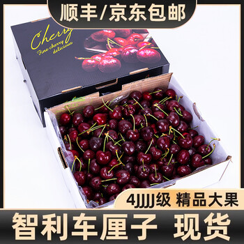 Fresh premium chilean cherries jd/sf next day delivery to multiple places imported fresh big cherries seasonal fruit gift box 1.8kg (net weight) affordable family gift box super big mac 4j single fruit 32-34mm