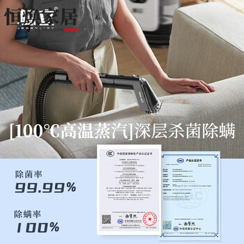 Mppmck germany imported fabric cleaning machine high temperature steam all-in-one machine 110v us standard high temperature washing sofa steam fabric cleaning machine all in one machine mattress curtain household carpet dirt suction no steam 110v us standard suitable for taiwan