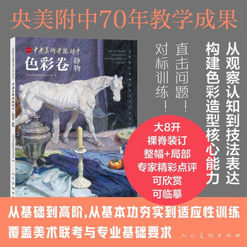 High school affiliated to the central academy of fine arts color volume still life